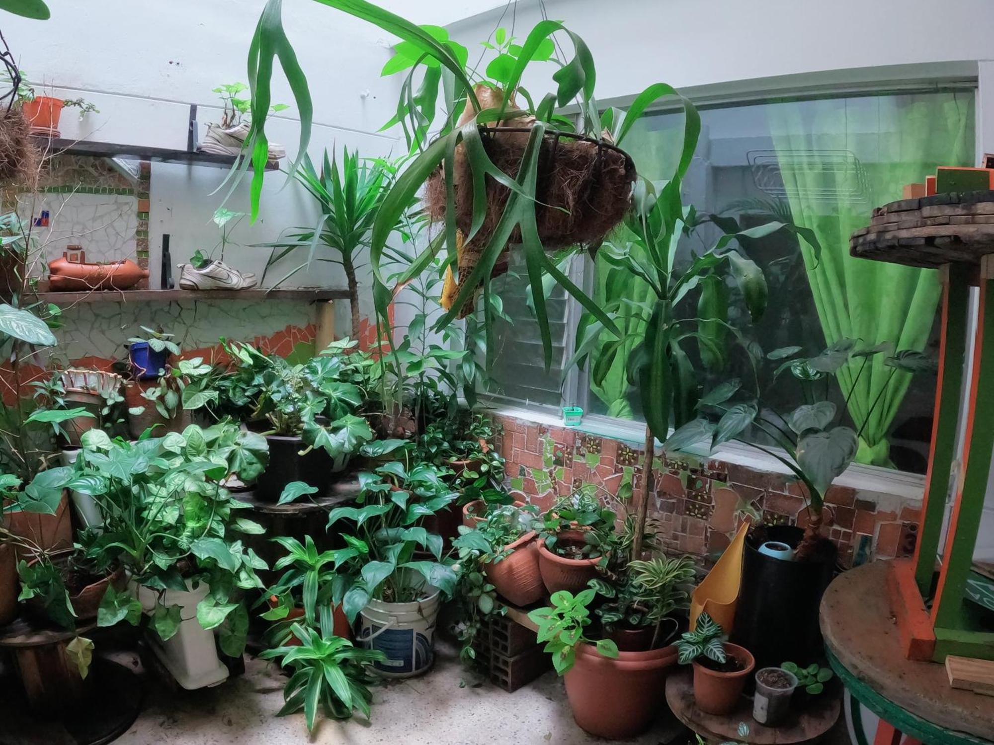 Hostal Rich Medellín Kültér fotó